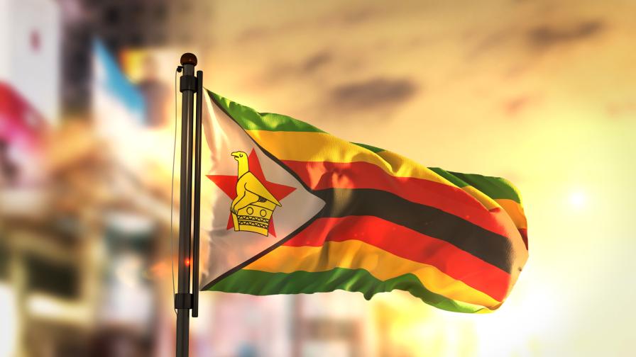 "Независима съдебна система": Опозиционен лидер в Зимбабве прекара 600 дни в ареста