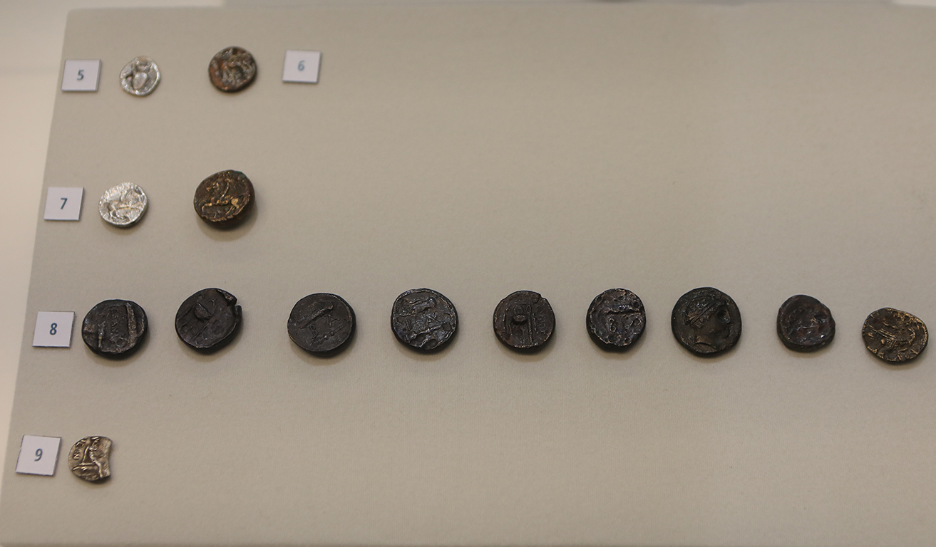 <p>Изследваните обекти са разпръснати из цялата страна - от Родопите през Сакар до Черноморското крайбрежие, включително Витоша, Плана планина и Тракийската низина.</p>