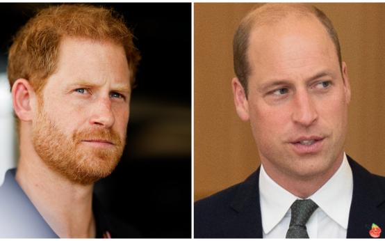 Кралски експерт: Хари и Уилям не си говорят от 20 години