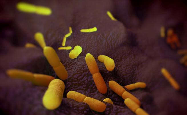 Установиха рядък случай на бубонна чума в САЩ