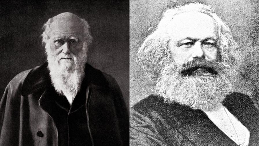Карл Маркс и Чарлз Дарвин