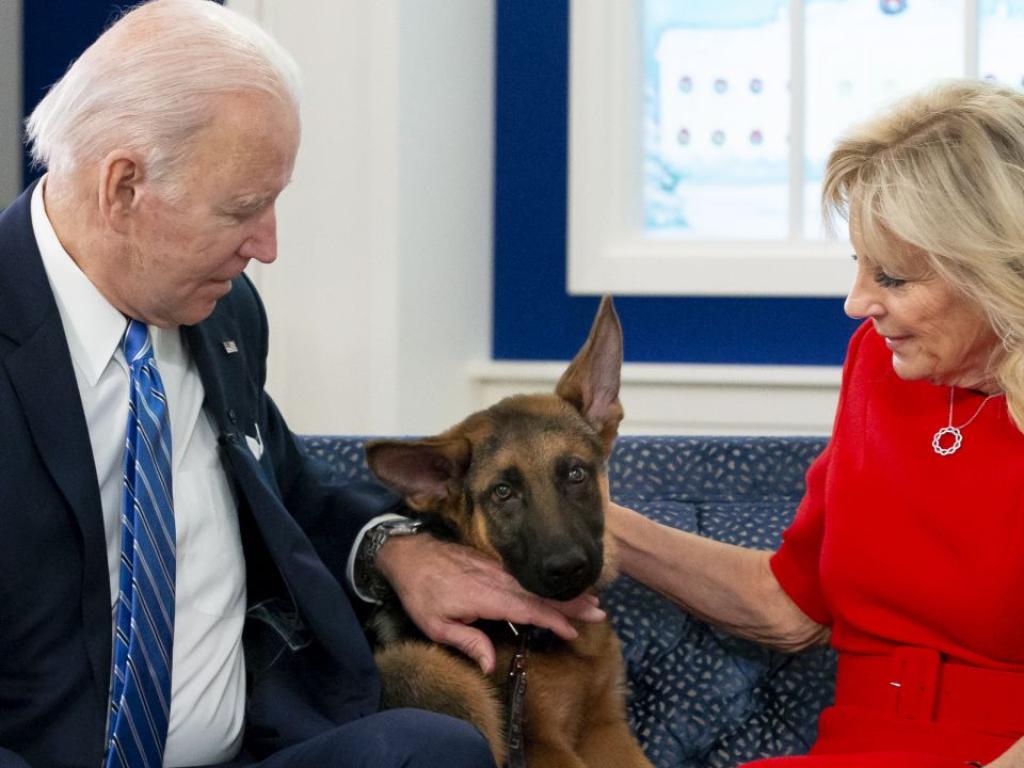 Командир Байдън семейното куче на президента Джо Байдън е ухапал