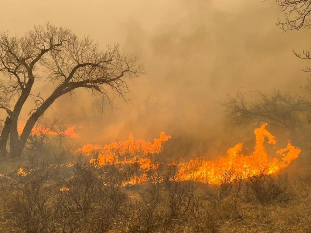 Хиляди бяха евакуирани заради големи горски пожари в Съединените щати