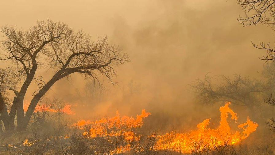 Ситуацията там е "извън контрол": Огромни пожари още бушуват в Тексас