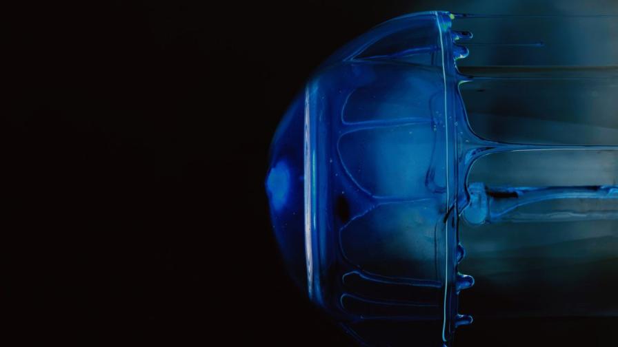 Бионични медузи: Нов подход в изследването на океаните