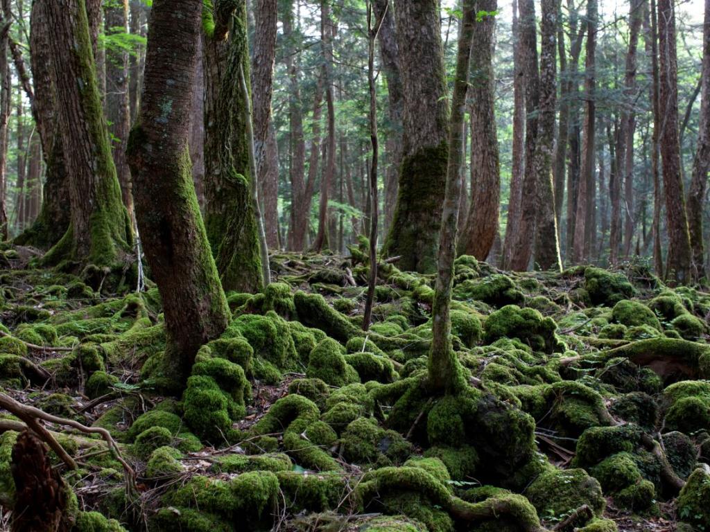 Редки кадри на изолирано от цивилизацията племе показват че неговите