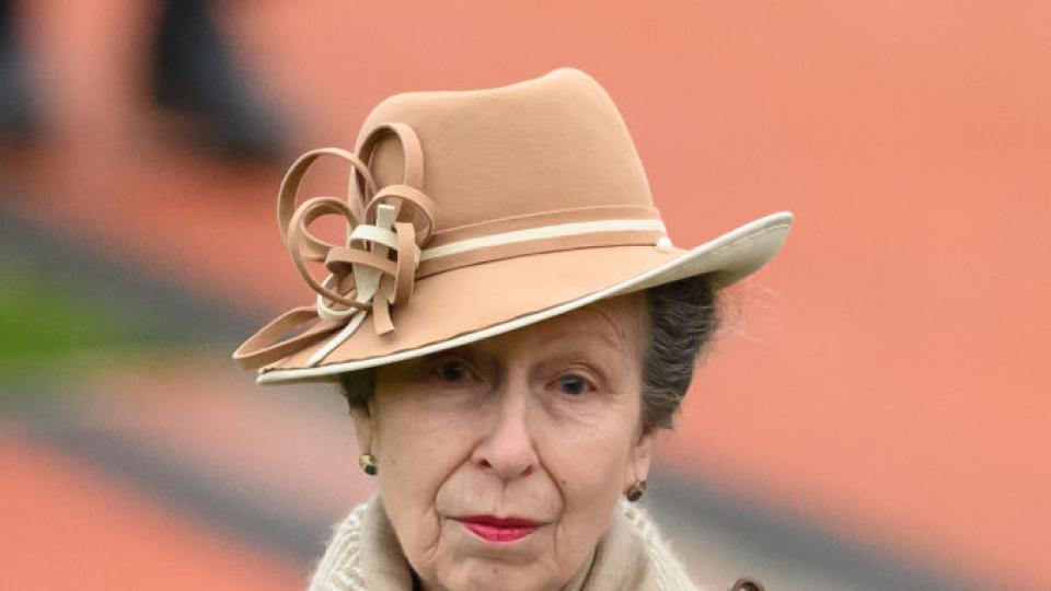 Принцеса Ан, сестрата на крал Чарлз Трети, е в болница, информират