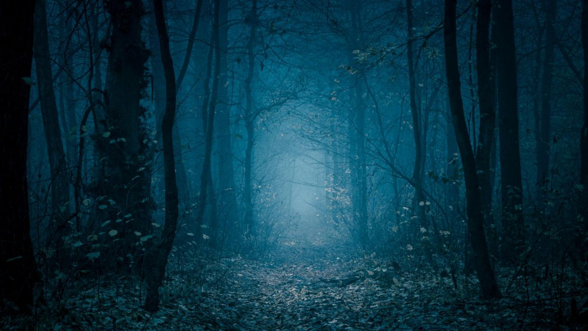 Първото нещо което Шям Бабу видял било ръчичката й –