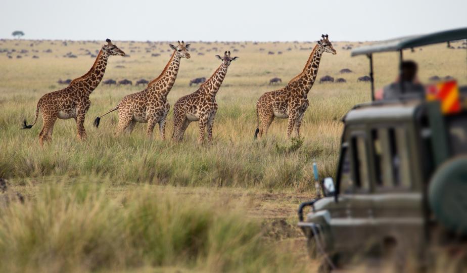 <p>Ботсвана</p>

<p>Добрата новина за жените пътешественици е, че всяко кътче на планетата има безопасни дестинации за пътуване. Ботсвана в Южна Африка се смята за една от най-безопасните страни за посещение в Африка и е популярна дестинация за сафари турове. Понастоящем Съединените щати дават на страната предупреждение за пътуване от ниво 1, което показва ниски рискове за сигурността и се застъпва за предприемане на здрави разумни мерки за безопасност.</p>