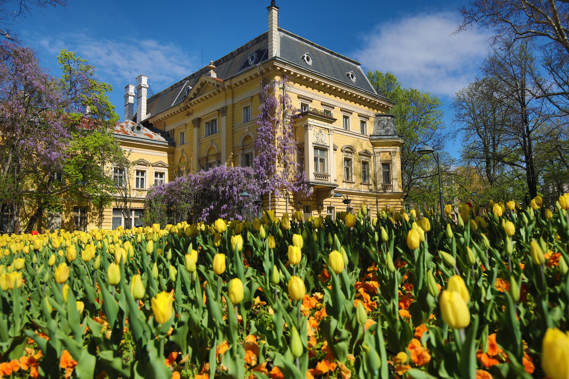 Столичани могат да се насладят на красивите цветни лехи и пролетните цветове на София.