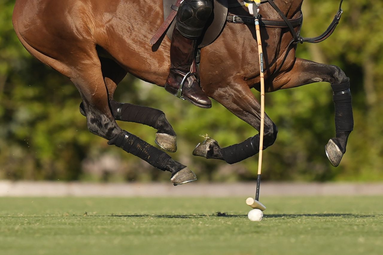 <p>Принц Хари и Меган, херцогинята на Съсекс, присъстваха на Royal Salute Polo Challenge в петък, запечатвайки деня си със страстна целувка</p>