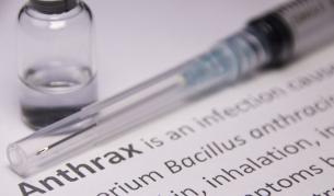 БАБХ потвърди случай на антракс в село край Силистра