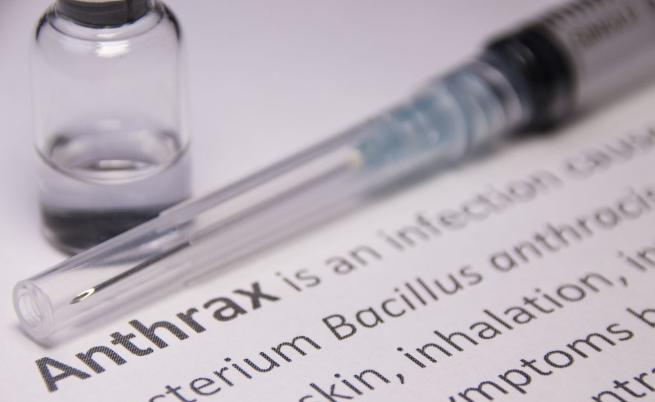 БАБХ потвърди случай на антракс в село край Силистра