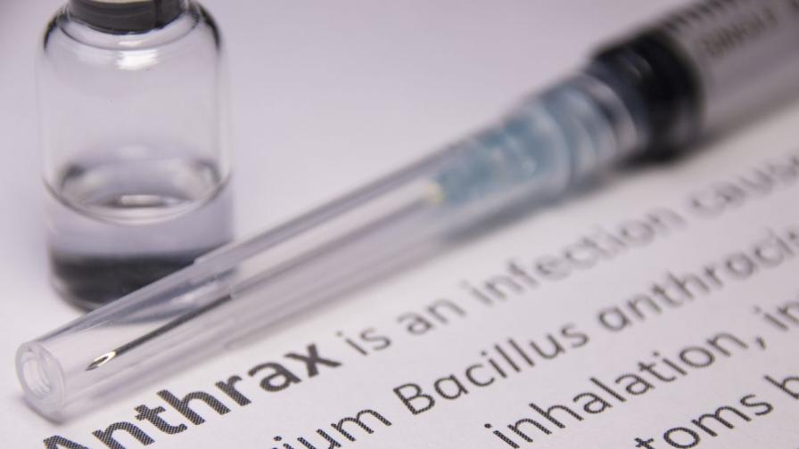 БАБХ потвърди случай на антракс в село край Силистра