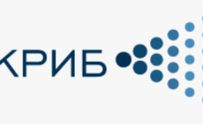 КРИБ призова за спешни мерки срещу ценовия шок от горивата