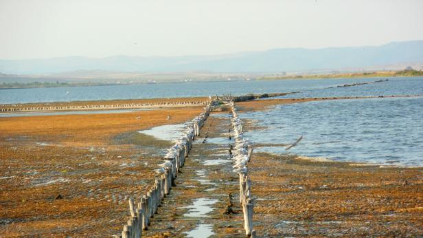 Къде на Черноморието ни се намира лечебната пречистваща кал