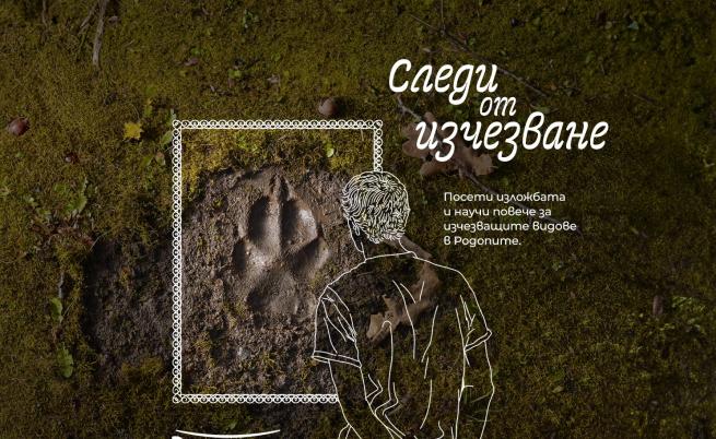  Следи от изгубване 