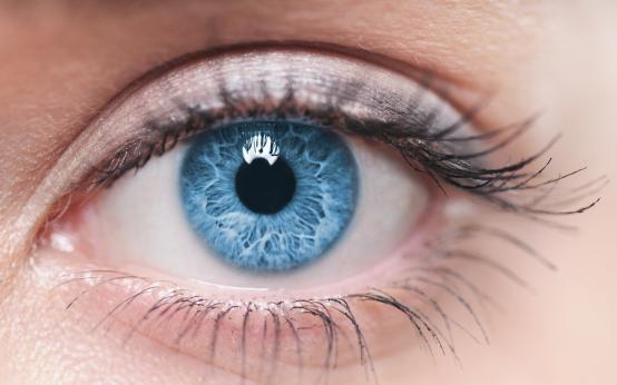 Какви тайни разкрива ирисът на окото за човека (ВИДЕО)