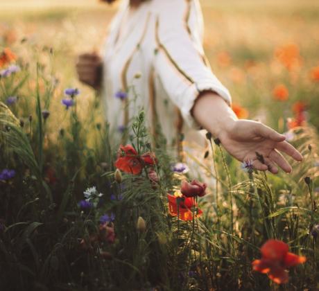 Ново френско изследване хвърля интересна светлина върху една отдавна съществуваща