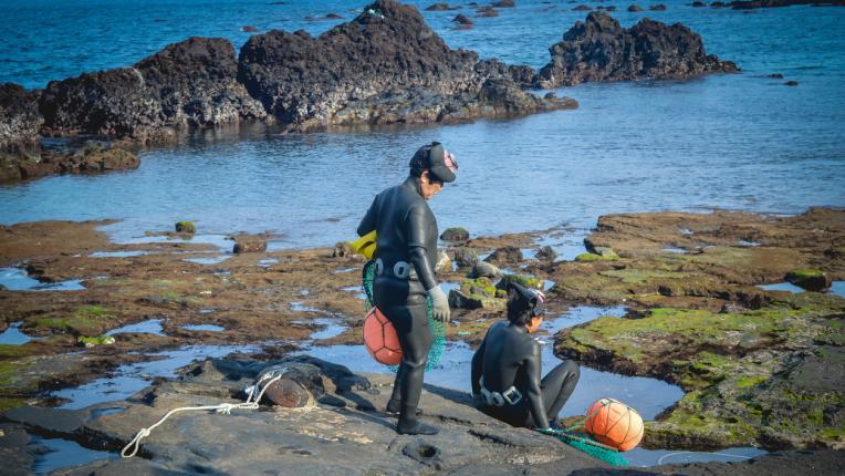  5 неща, които ще ви впечатлят на остров Джеджу - южнокорейските Хаваи 