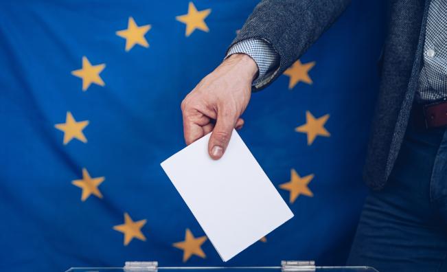 <p>"Няма да има флиртове или заигравания": Изборите, решаващи съдбата на ЕС</p>