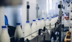 Цените на млечните продукти: Защо се стигна до застой в преговорите за надценките?