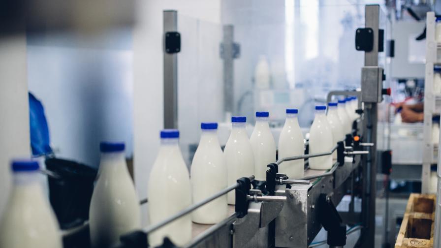 Цените на млечните продукти: Защо се стигна до застой в преговорите за надценките?
