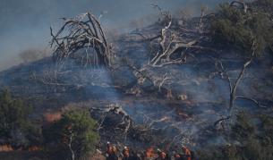 Евакуация в Калифорния заради голям горски пожар