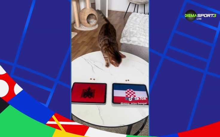 Най-интересното от социалните мрежи преди Хърватия - Албания