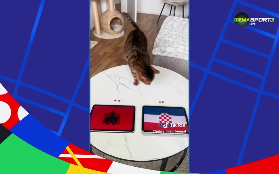 Най-интересното от социалните мрежи преди мача от група B на