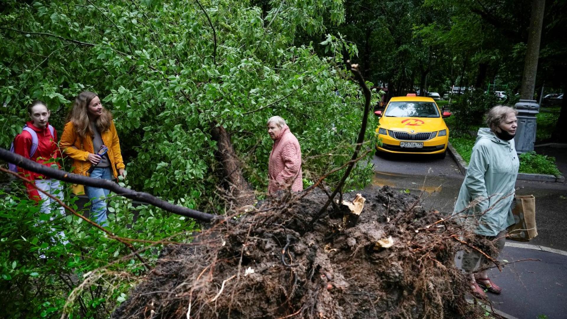 Мощна буря премина през Кюстендил Стихията удари града със силен