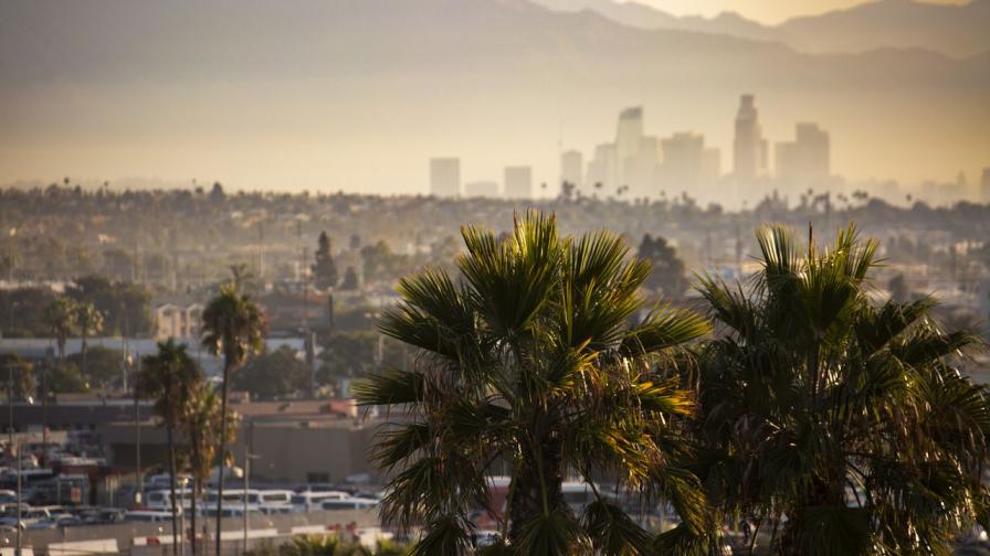 <p>Шокиращите замърсители: Дърветата в Лос Анджелис</p>