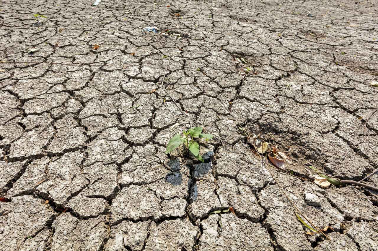 Невиждана суша в Иран: Как се стигна до пълна катастрофа