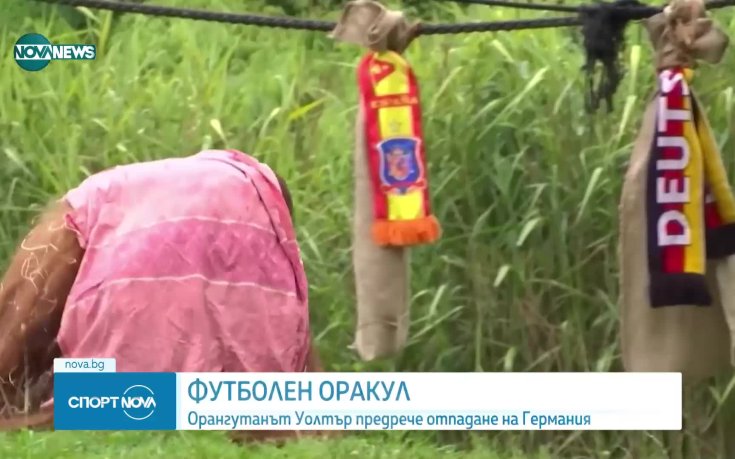Оракул предрече победа на Испания срещу Германия