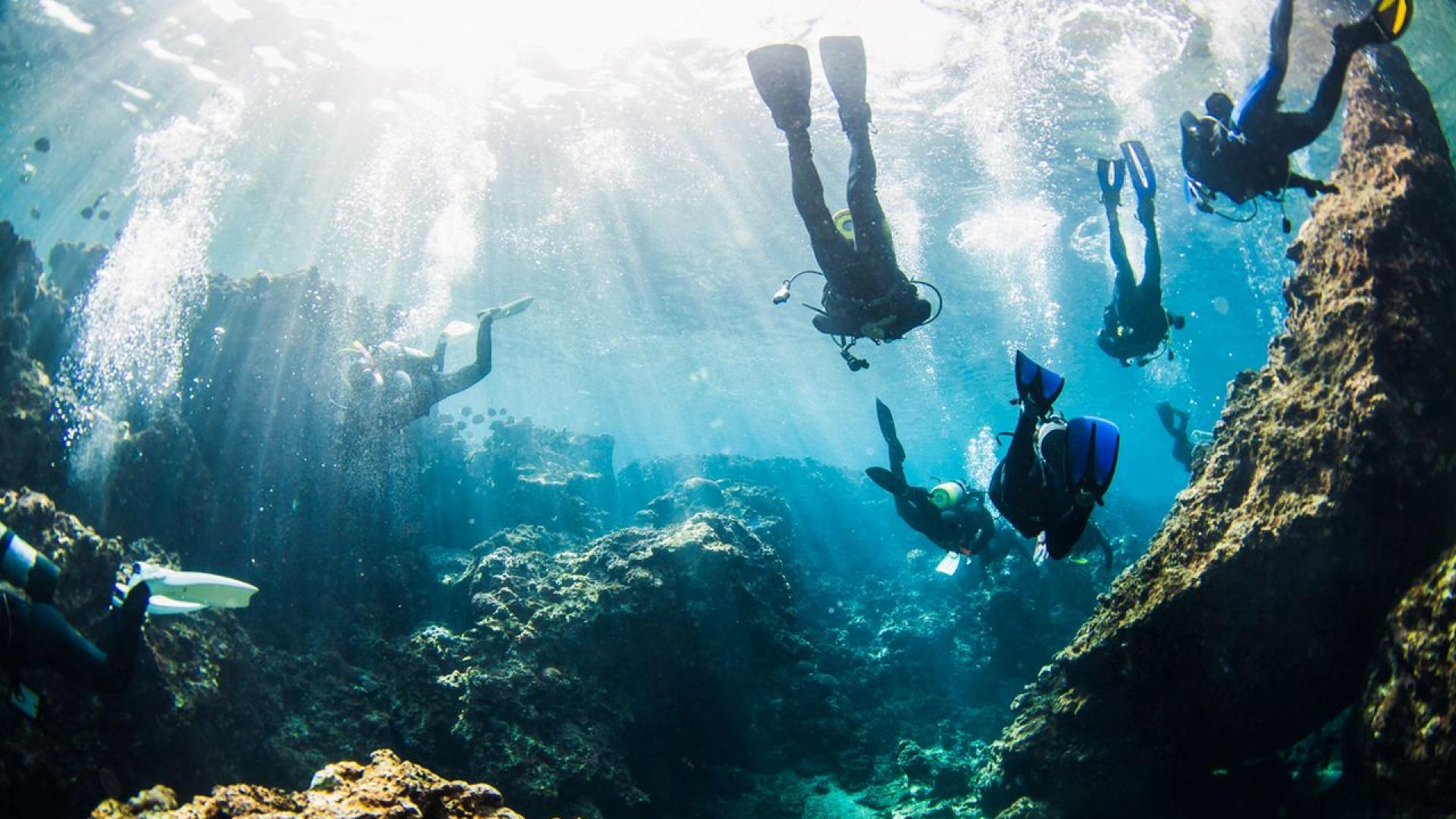 По време на спортен риболов край бреговете на Коста Рика