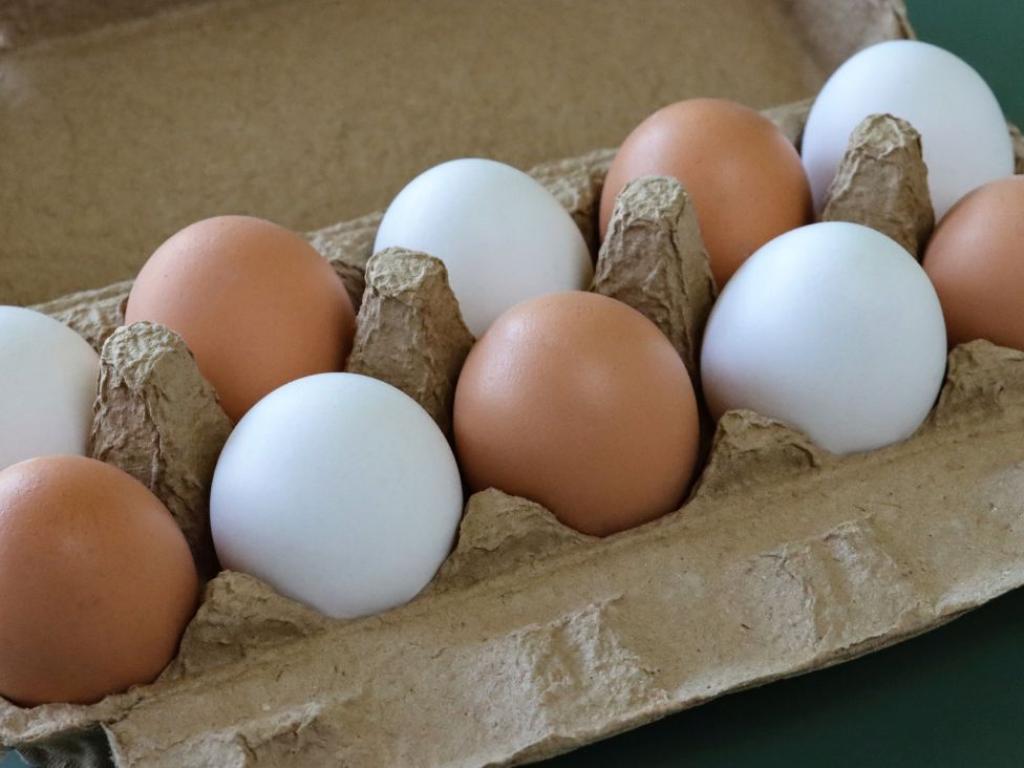 Кокошите яйца са с най различни цветове от бели и