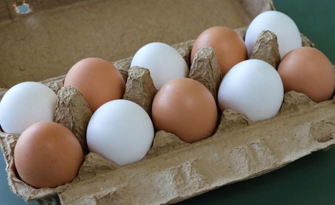 Опасни химикали и пестициди открити в яйцата в Гърция