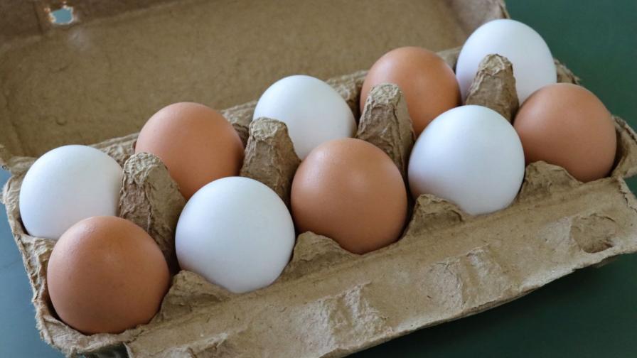Защо яйцата са с различен цвят?