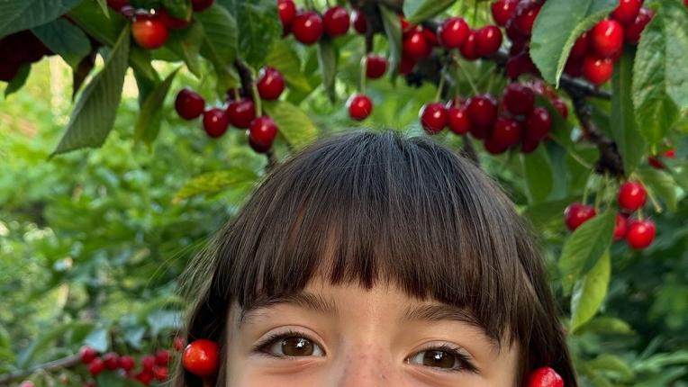  Вижте щурото лято на Катето Евро 