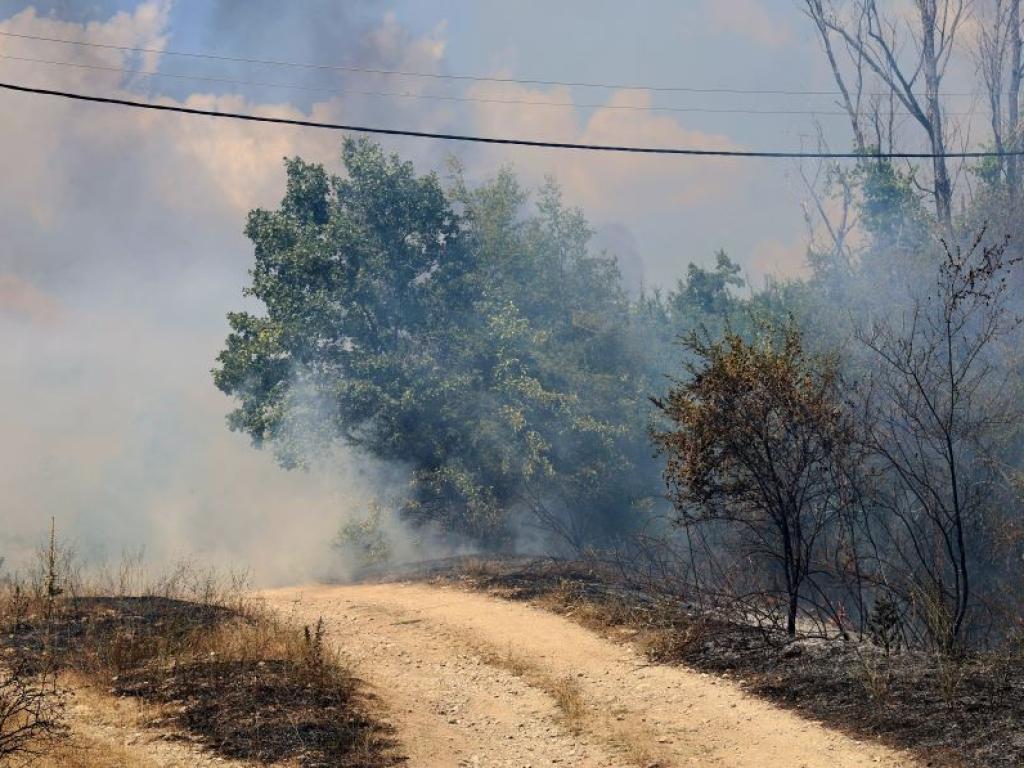 По разпореждане на служебния министър председателя Димитър Главчев Министерството на вътрешните