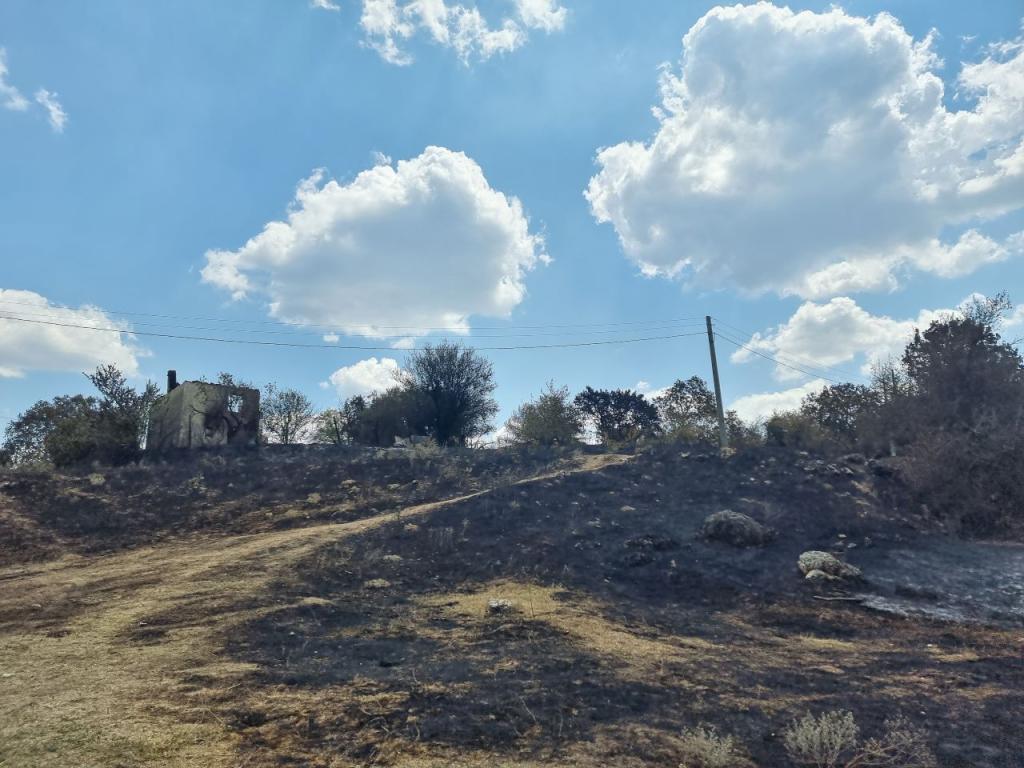 Нов пожар избухна между пловдивските села Скутаре и Рогош Това
