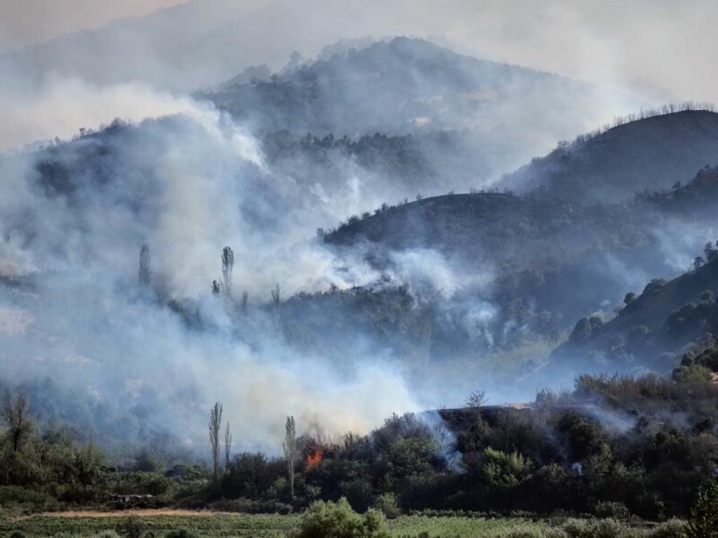 Група от доброволци ще се включи днес в гасенето на
