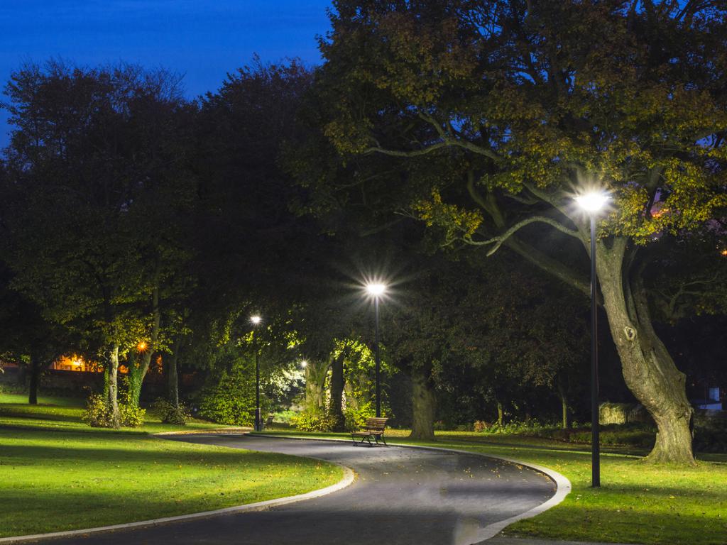 Оставянето на уличните лампи включени цяла нощ изглежда прави листата