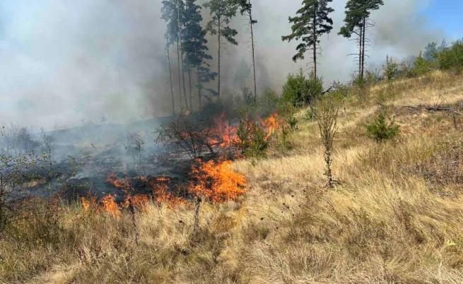 Голям пожар пламна край Самоков застраши населени места