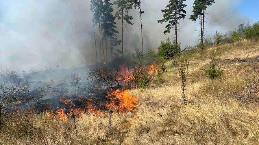 Голям пожар пламна край Самоков застраши населени места