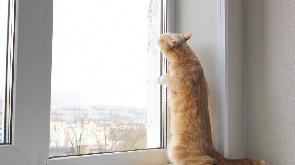 Очите на дома – как да изберете дограма според нужди и тенденции