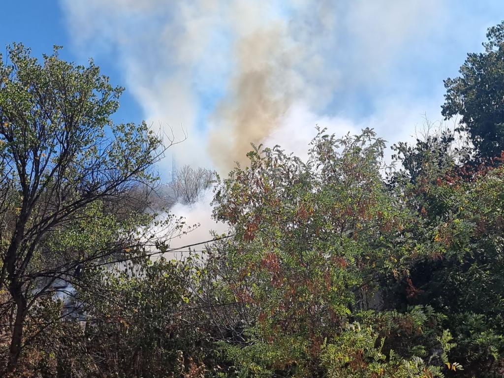 Сухи треви горят в подножието на Младежкия хълм в Пловдив