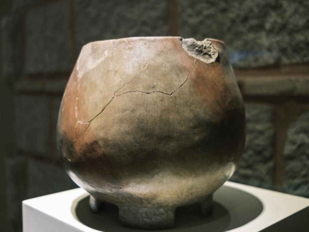 Петгодишно момче случайно счупило древна урна от късната бронзова епоха