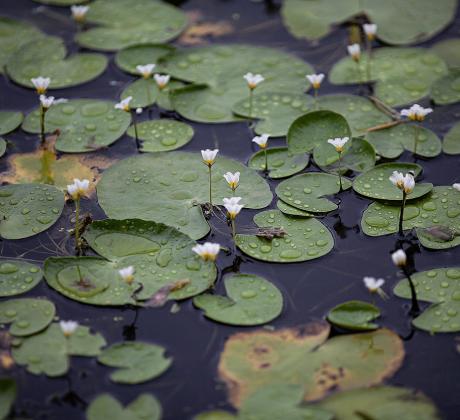 Специални епизоди на Черешката на тортата ни отвеждат директно в
