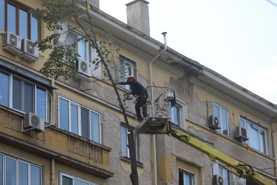 <p>Започна рязането на дървета на улица &quot;Опълченска&quot; в София</p>